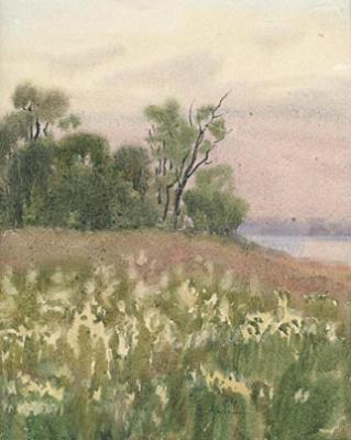 Untitled 14 (White flower meadow by lake)